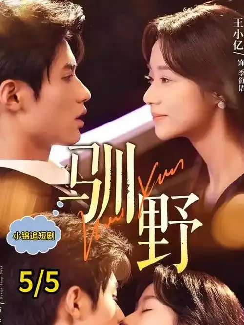 《青春的模样》电视剧海报